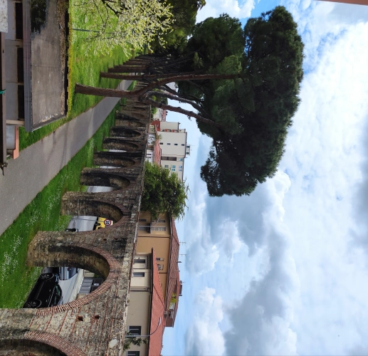 Camera Singola Via San Giovanni Bosco, 44, Pisa PI, Italia